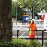 Ein städtischer Gärtner wässert einen stattlichen Baum an der Heidelberger Kurfürsten-Anlage – die Bäume an den stark aufgeheizten Straßen leiden besonders unter Trockenheit. (Foto: Stadt Heidelberg)