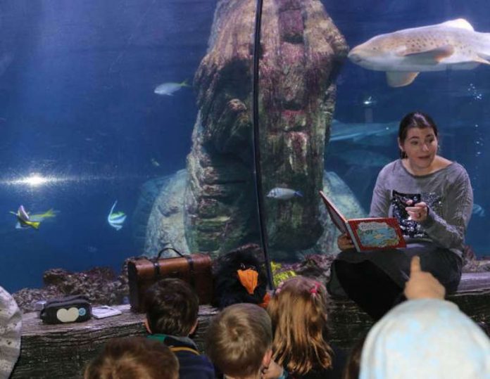 Nina Müller liest aus ihrem Buch (Foto: SEA LIFE Speyer)