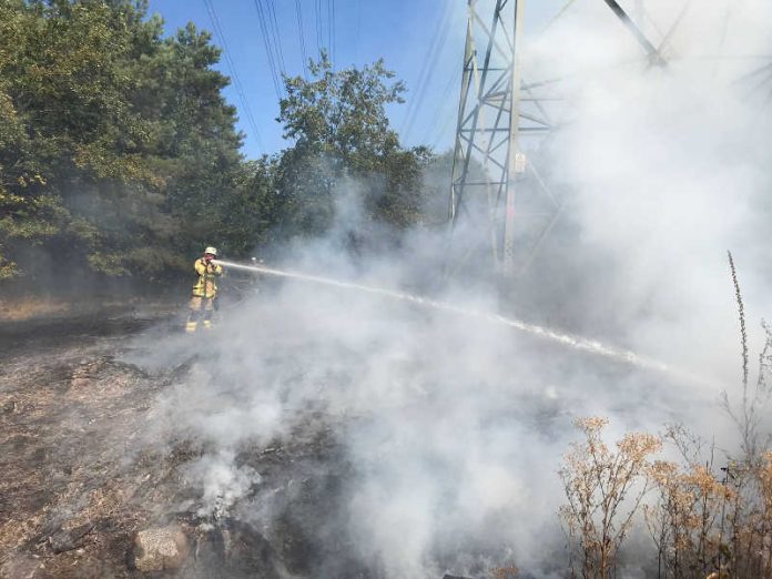 Waldlichtung in Flammen