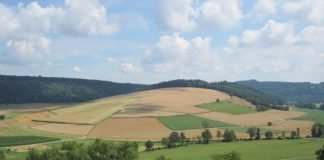 Die Auszeichnung "Geotop des Jahres 2018" wird verliehen (Foto: Geo-Naturpark Bergstraße-Odenwald)