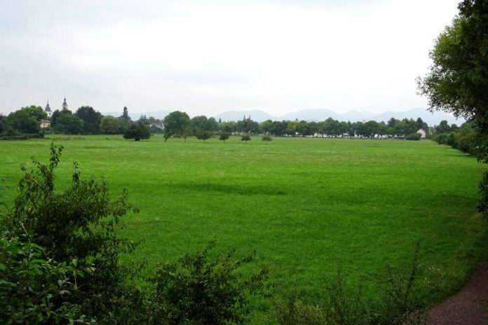 In Queichheim gibt das Modellprojekt „Kommune der Zukunft“ den Anstoß, die Queichwiesen zu einem Refugium für Mensch und Natur weiterzuentwickeln. (Foto: Stadt Landau in der Pfalz)