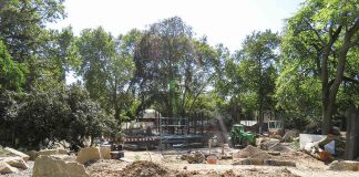 Baustelle Löwenanlage Mitte September (Foto: Zoo Heidelberg)