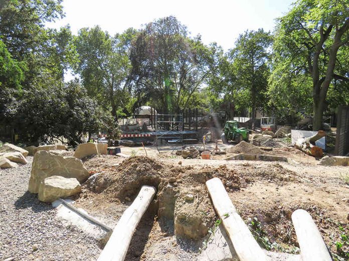 Baustelle Löwenanlage Mitte September (Foto: Zoo Heidelberg)