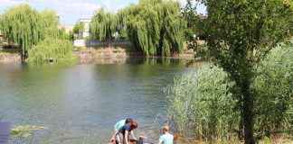 Expertenteam der Universität Koblenz-Landau nehmen Wasserproben (Foto: Stadt Speyer)