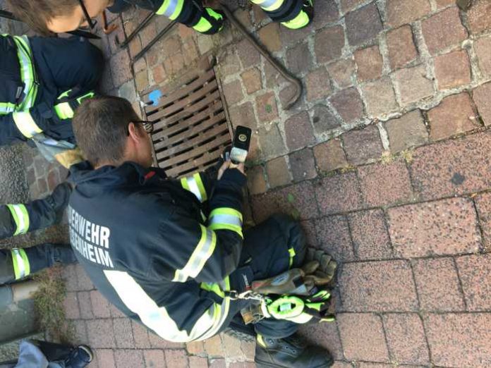 In diesem Gulli befand sich der Kater eingesperrt