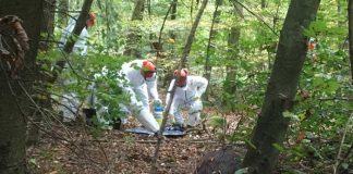 Suchtrupp im Wald - An Fundstelle ASP