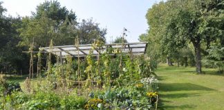 Einer der TeilnehmerInnen am Garten-Wettbewerb 2017: Garten der Familie Keller in Wissembourg (Foto: Bezirksverband Pfalz)