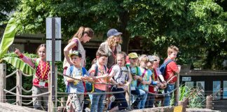 Pfingstferien mit der Zooschule Heidelberg (Susanne Reichardt/Zooschule Heidelberg)