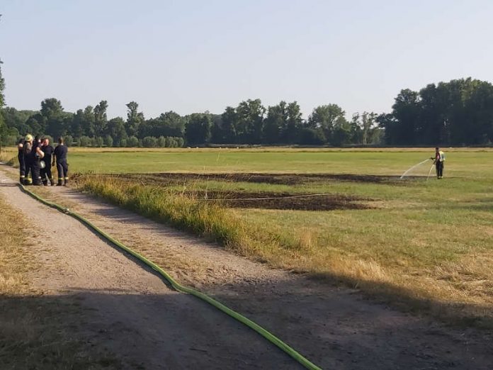 Flächenbrand (Foto: Feuerwehr Haßloch)