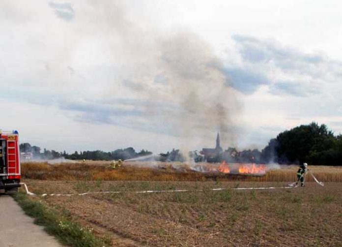 Flächenbrand © Feuerwehr Frankenthal