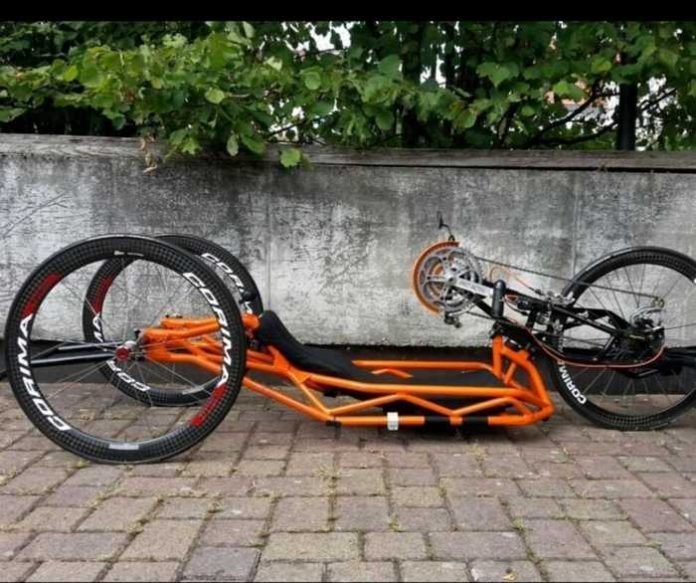 Originalbild Liegebike