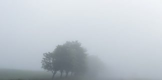 Symbolbild Nebel (Foto: Pixabay/Free-Photos)