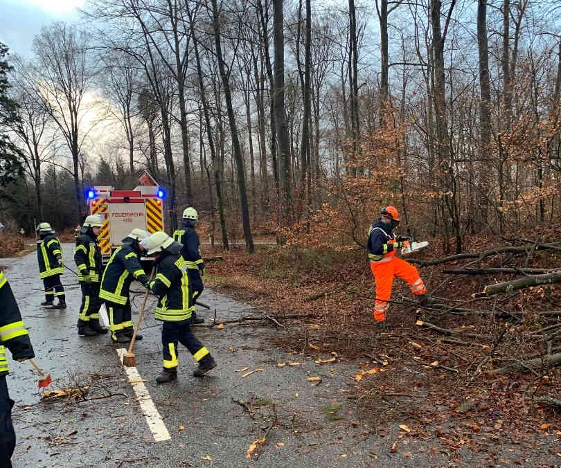 Sturmeinsatz (Foto: Presseteam der Feuerwehr VG Lambrecht)