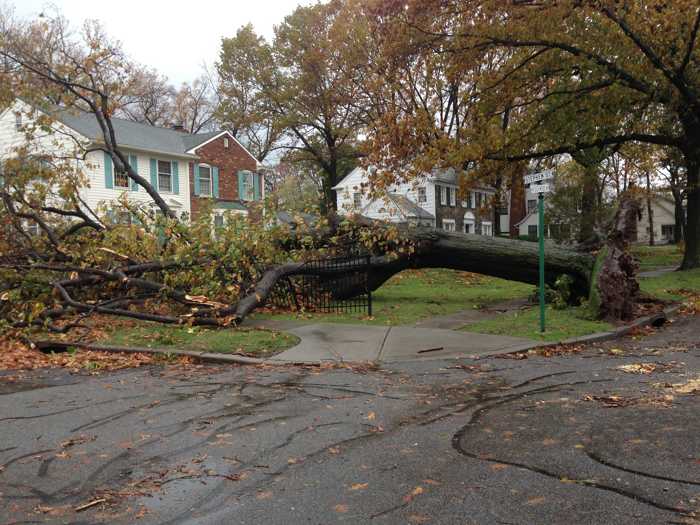 Symbolbild, Sturm, Schaden, Baum, Vorgarten, Haus (pxhere)