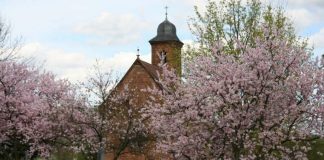 Öffnet später als sonst ihre Türen: Nikolauskapelle bei Klingenmünster (Foto: Christel Flory)