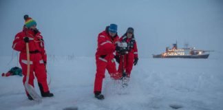 „Aktuelle Klimaforschung in der Arktis wird die Genauigkeit der Klimaprognosen verbessern.“ (Foto: Esther Horvath, AWI)