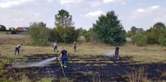 Symbolbild Flächenbrand (Foto: Feuerwehr Haßloch)