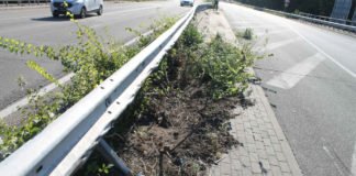 Unfallstelle auf der B 9 (Foto: Polizei RLP)