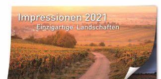 Titelbild des Bildkalenders "Impressionen 2021 - Einzigartige Landschaften" (Quelle: Sparkasse Rhein-Haardt, Foto: Christian Schwejda)