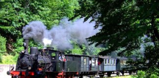 Fahrt mit dem historischen Kuckucksbähnel am Bachlauf (Foto: Rolf Schädler)