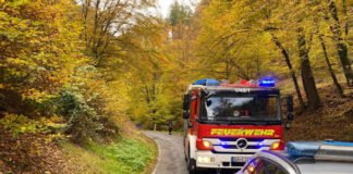 Einsatz (Foto: Presseteam der Feuerwehr VG Lambrecht)