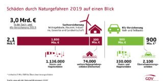 Grafik Naturgefahrenbilanz 2020 (Foto: GDV)