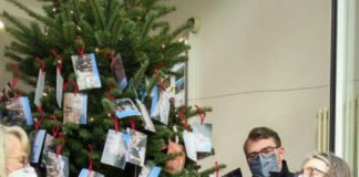 Kinder haben wieder Weihnachtswünsche an einen Tannenbaum gehängt, der in diesem Jahr in der Tourist-Info am Hetzelplatz steht. (Foto: Stadtverwaltung Neustadt)