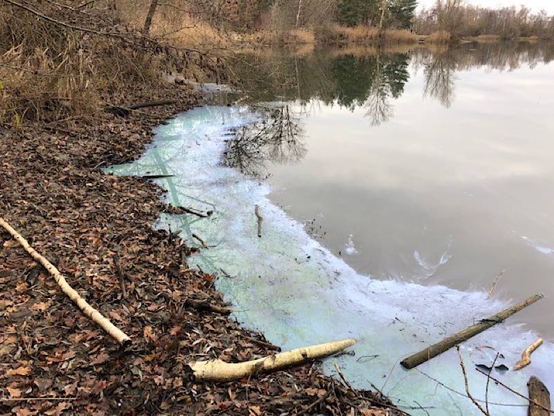 Wehlachweiher verunreinigt (Foto: Polizei RLP)