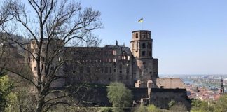 Schloss Heidelberg (SSG-Pressebild/Anja Stangl)