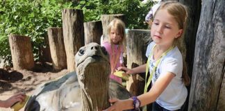 Ferienkinder bei den Riesenschildkröten im Zoo Heidelberg (Archivfoto: Zoo Heidelberg)