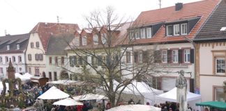 Gartenmarkt (Foto: Rathaus Edenkoben)