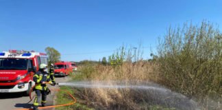 Flächenbrand (Foto: Feuerwehr Neustadt)