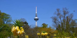 Symbolbild Luisenpark Mannheim (Foto: Stadtpark Mannheim gGmbH)