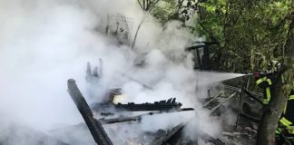 Eine Hütte brannte in einem Schrebergarten (Foto: Feuerwehr Neustadt)