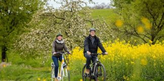 Radfahren im Rhein-Neckar-Kreis (Foto: Tobias Schwerdt)