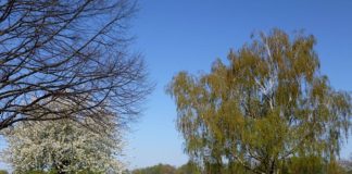 Strandbad Waidsee (Foto: Stadt Weinheim)