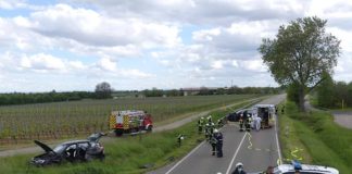 Die Unfallstelle (Foto: Feuerwehr Neustadt)