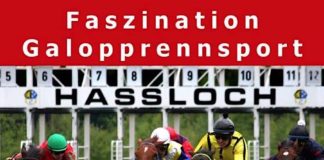 Faszination Galopprennsport (Foto: Pfälzischer Rennverein Haßloch e.V.