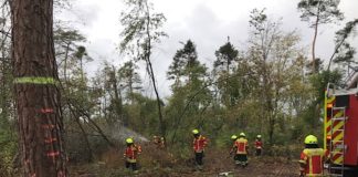 Waldbrände gilt es zu vermeiden. (Foto: Forstamt Landratsamt Karlsruhe)