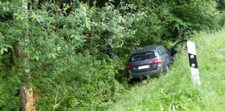 Der verunfallte PKW (Foto: Feuerwehr Neustadt)