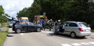 Verkehrsunfall auf der Kreisstraße 1 (Foto: Feuerwehr Neustadt)