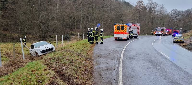 Der PKW kam von der Straße ab (Foto: Feuerwehr VG Lambrecht)