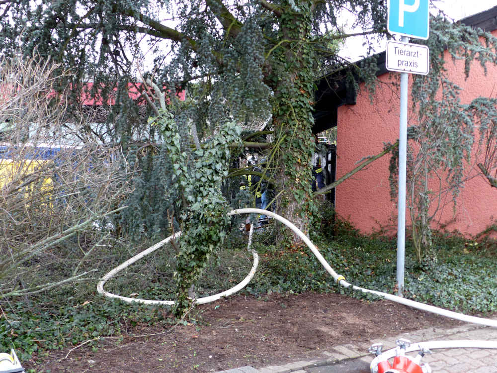 Löscharbeiten (Foto: Feuerwehr Neustadt)