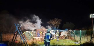 Flächenbrand auf Sandbuckelgelände (Foto: Feuerwehr Haßloch)