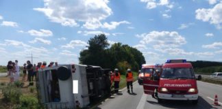 Die Unfallstelle (Foto: Feuerwehr Neustadt)