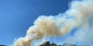 In Flammen standen etwa acht Hektar Wald am südlichen Hang südlich des Hambacher Schlosses (Foto: Stadtverwaltung Neustadt)