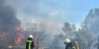 Brand in der Nachtweide (Foto: Feuerwehr Neustadt)