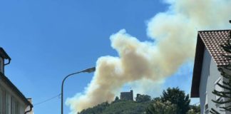 In Flammen standen etwa acht Hektar Wald am südlichen Hang südlich des Hambacher Schlosses (Foto: Feuerwehr Neustadt)