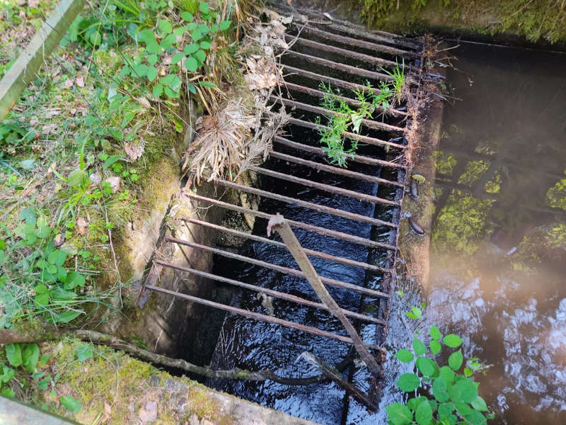 Die Einsatzstelle (Foto: Feuerwehr VG Lambrecht)